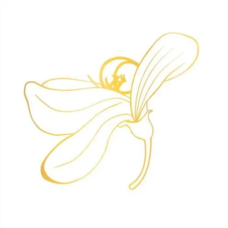 Casa Da Carqueja 1 公寓 科英布拉