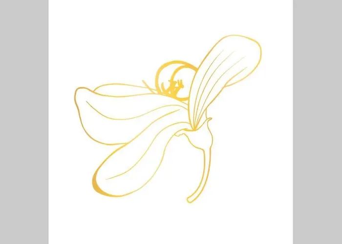 Casa Da Carqueja 1 公寓 科英布拉